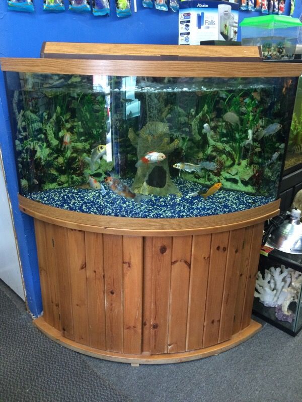 92 gallon corner Bow front Aquarium fish tank (Furniture) in