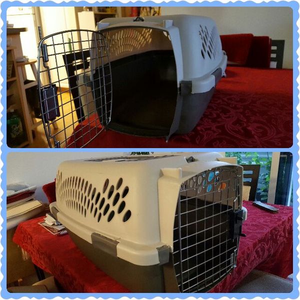 small pet taxi pet supplies in puyallup wa offerup small pet taxi pet supplies in puyallup wa offerup