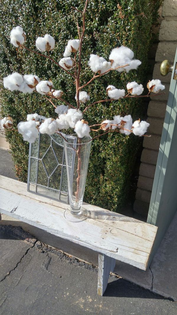 Spring Cotton Sprigs (Home &amp; Garden) in Phoenix, AZ - OfferUp
