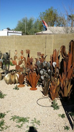 5" Metal saguaro cactus yard garden art (Home &amp; Garden) in 