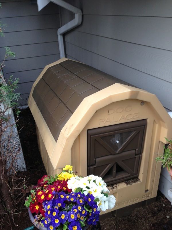 Dog palace Dog house (Pet Supplies) in Seattle, WA OfferUp
