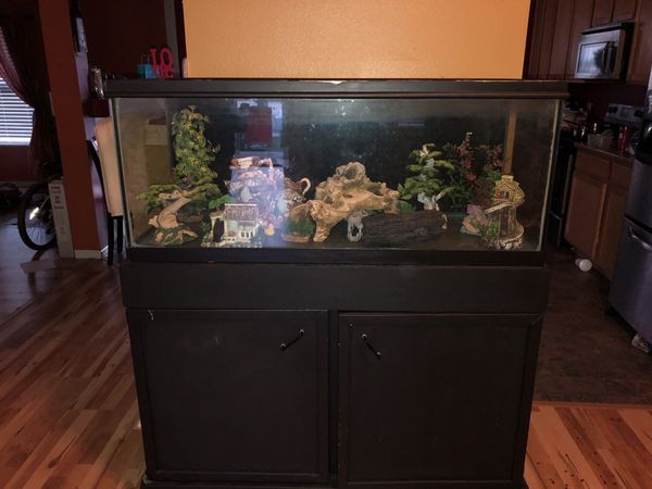 fish tank pet supplies in winston salem nc fish tank pet supplies in winston salem nc