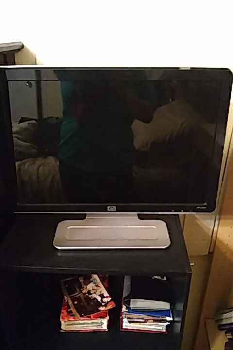 Hp w1907 monitor problems