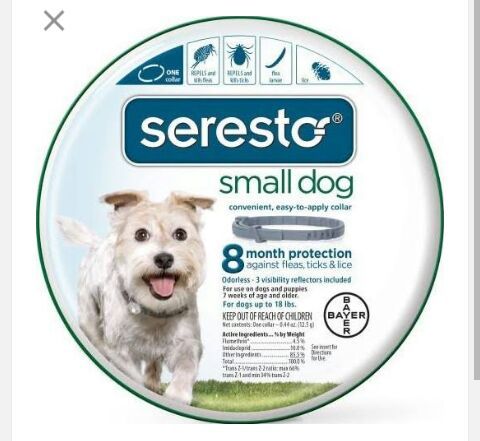 Dog flea collar (Pet Supplies) in Chehalis, WA - OfferUp