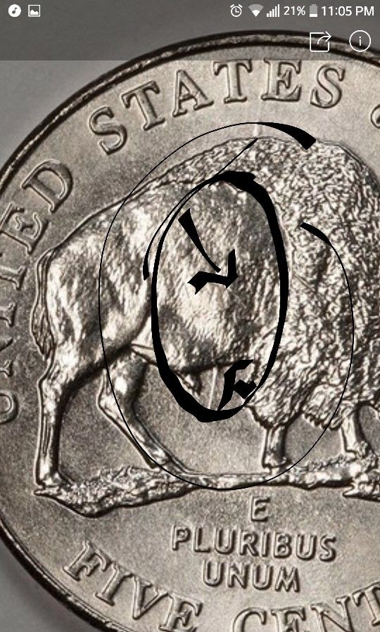 2005 buffalo nickel with spear misprint (Collectibles) in Denver, CO