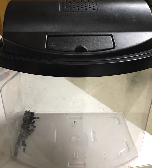 3 gallon fish tank aquarium pet supplies in addison il 3 gallon fish tank aquarium pet supplies in addison il