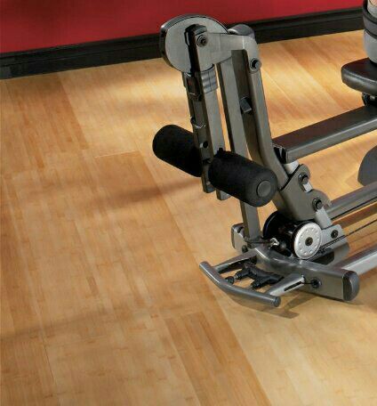 Bowflex Ultimate 2 Leg Curl & Leg Extension Attachment (Sports ...