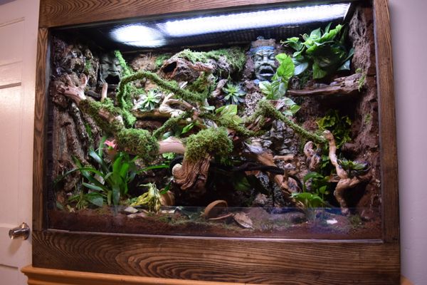 Custom Made Wooden Reptile Terrarium/Vivarium/Tank (Pet Supplies) in ...